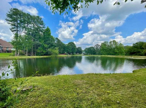 109 Loch Levin Ln, Lexington, SC 29072-7397