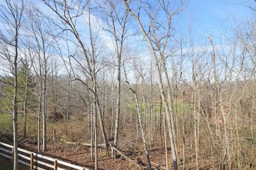 9655 Fallsridge Ct, Cincinnati OH 45231-2885 exterior