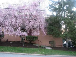 86 Thomas Ln, Cranston, RI 02921-2210