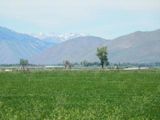21 Prairie Sun Rd, Broadford, ID 83313-5265