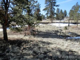 61 Hackamore Ct, Hartsel, CO 80449-8401