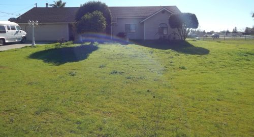 25308 Scott Way, Madera, CA 93638-9479