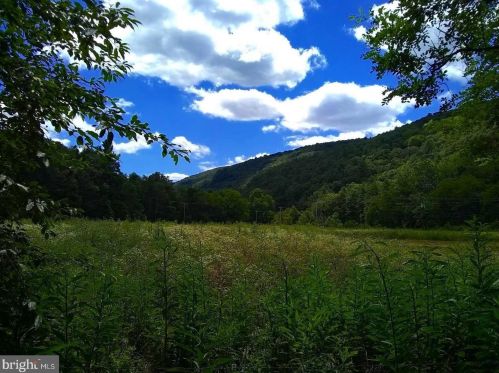 58 Independence Dr, Brandywine, WV 26802-8596