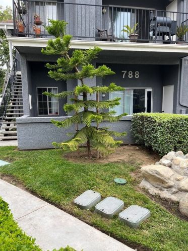 788 San Bernardino Rd, Covina, CA 91722-3620