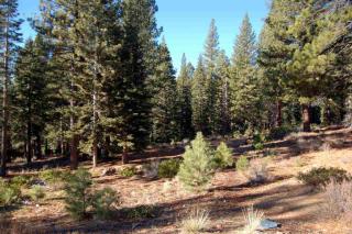 11776 China Camp Rd, Truckee, CA 96161-2864