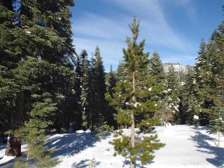 13846 Pathway Ave, Truckee, CA 96161-6221