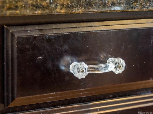 284 Sakata St, Denver CO  80601-4625 exterior