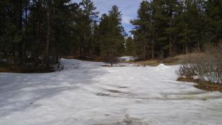 11044 Conestoga Pl, Franktown, CO 80116