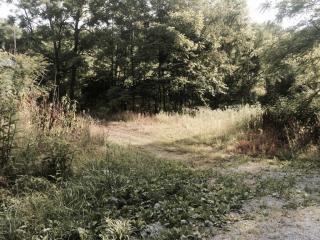 645 Beech Holw, Harrogate, TN 37752-5079