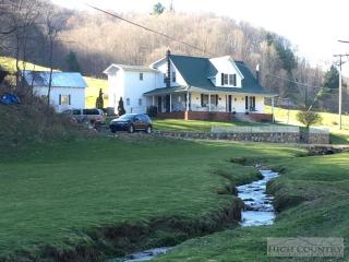 1149 Glenn Miller Rd, Clifton, NC 28693-9164