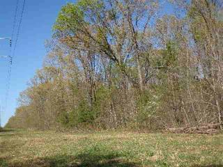 121 Sartin Rd, Delano, TN
