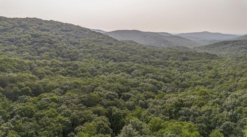 1458 Valley View Dr, Big Canoe GA  exterior