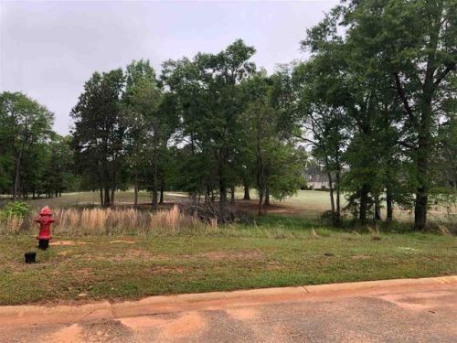 18 Camden Way, Klondike, GA 31036-6662