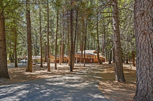 5180 Happy Pines Dr, Michigan Bluff, CA 95631-9693