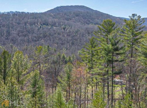 153 Indian Ridge Rd, Epworth, GA 30541-0033