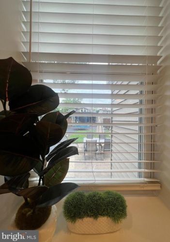 2431 56 St, Philadelphia PA  19143-5344 exterior