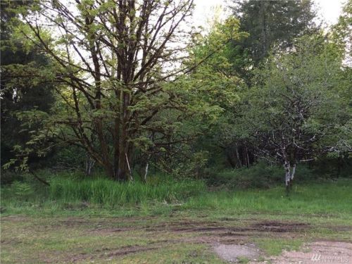 139 Cloquallum Rd, Whites, WA 98541-9460