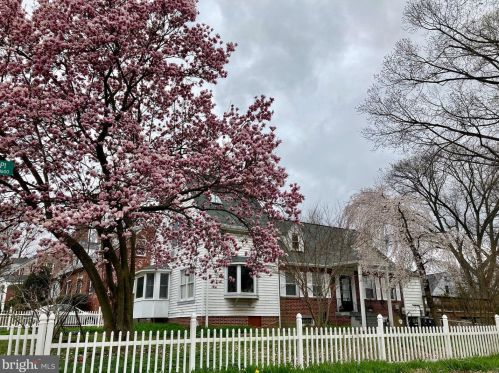 613 Pershing Dr, Silver Spring, MD 20910-4341