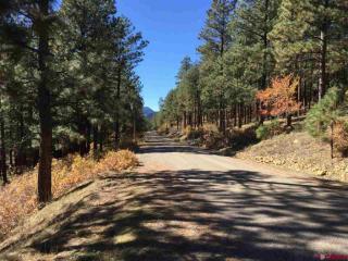 1142 Deer Ridge Dr, Vallecito, CO 81122-9717