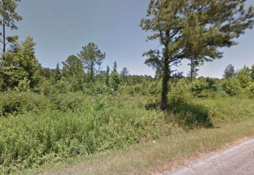 409 Youngblood Rd, Meeting Street, SC 29824-1525
