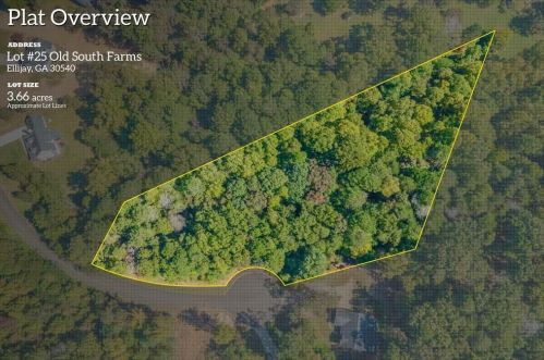 025 Tilly Farm Rd, Ellijay, GA 30540-7531