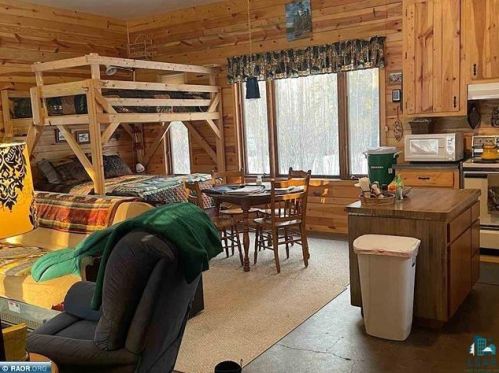 51457 White Swan Lake Rd, Bigfork, MN 56628