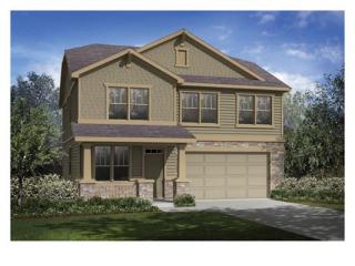 14442 91st Ln, Arvada, CO 80005-1417