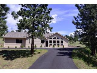 347 Yellow Pine Dr, Bailey, CO 80421-1871