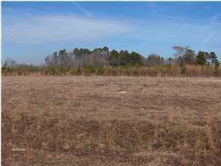 278 Sassafras Ct, Walterboro, SC 29488