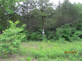 361 Shore Acres Dr, Powersite, MO 65731-3162
