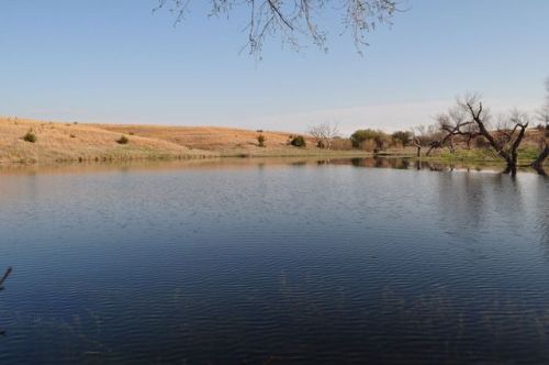 657 County Rd, Natoma, KS 67651