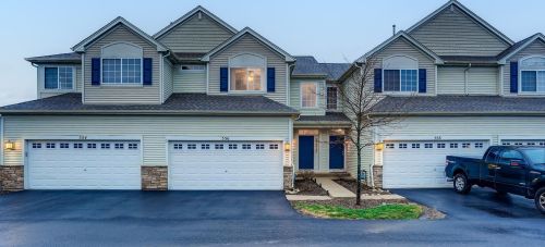 556 Gunnison Ct, Gilberts, IL 60136-4083