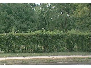 247 Tower Ave, Hartford, CT 06120-1040