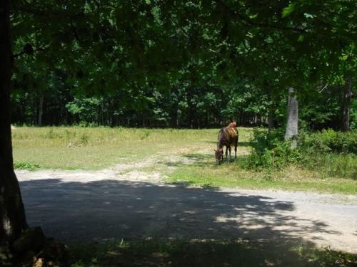 585 Stacy Cemetery Ln, Gainesboro, TN 38562-5007