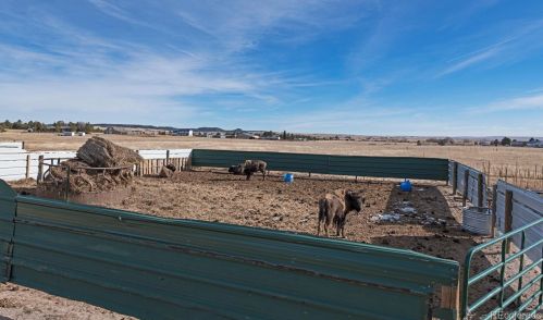 13635 Murphy Rd, Black Forest CO 80106-9065 exterior