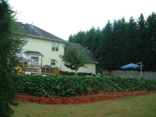 551 Clear Lake Ln, Suwanee, GA 30024-2904