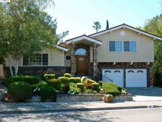 419 Ewing Dr, Pleasanton, CA 94566-6803