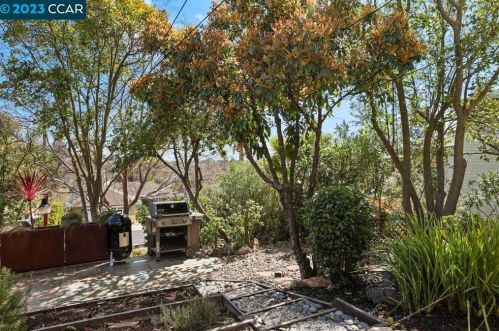 3099 Consuelo Rd, Concord CA  94519-2204 exterior