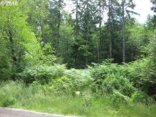 65630 Sandy River Ln, Rhododendron, OR 97049-9795