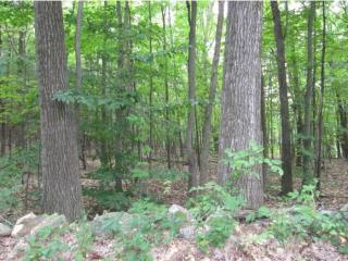 110 Goldsmith Rd, Wilton, NH 03086-5307
