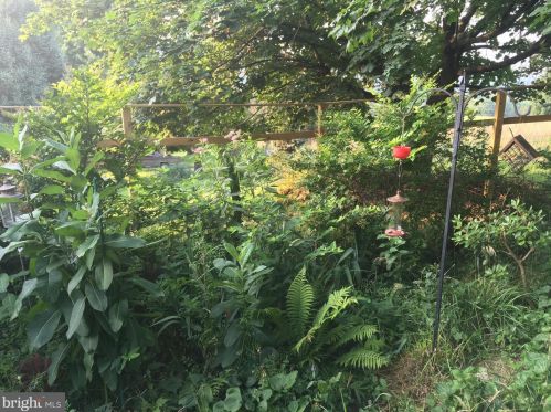 217 Elm St, Harpers Ferry WV 25425-6006 exterior