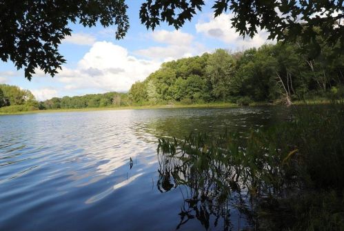 28415 Elk Lake Rd, Zimmerman, MN 55398-6002