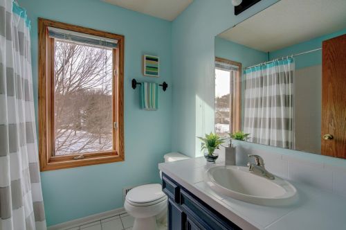 4585 Clf Rdg Ct, Saint Paul MN  55123-1852 exterior