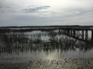 1591 Terns Nest Rd, Charleston, SC 29412-9522