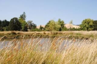 1331 Wild River Dr, Roseburg, OR 97470-9440