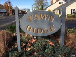 59 Fawn Rdg Ln, Wilton CT  06897-4436 exterior