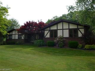 10990 Forest Oaks Dr, Concord Township, OH 44024-9754