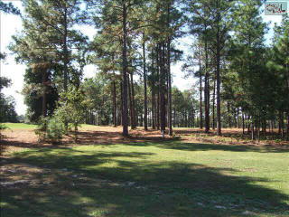 119 Greenside Dr, Lexington, SC 29072-8215