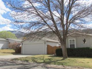 273 Tamarack Cir, Parachute, CO 81635-9002