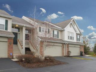 3133 Saganashkee Ln, Naperville IL  60564-2400 exterior